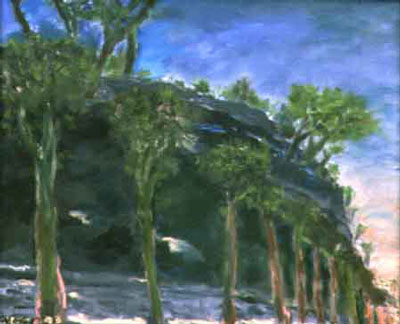 Vincent D'Alessio Artist